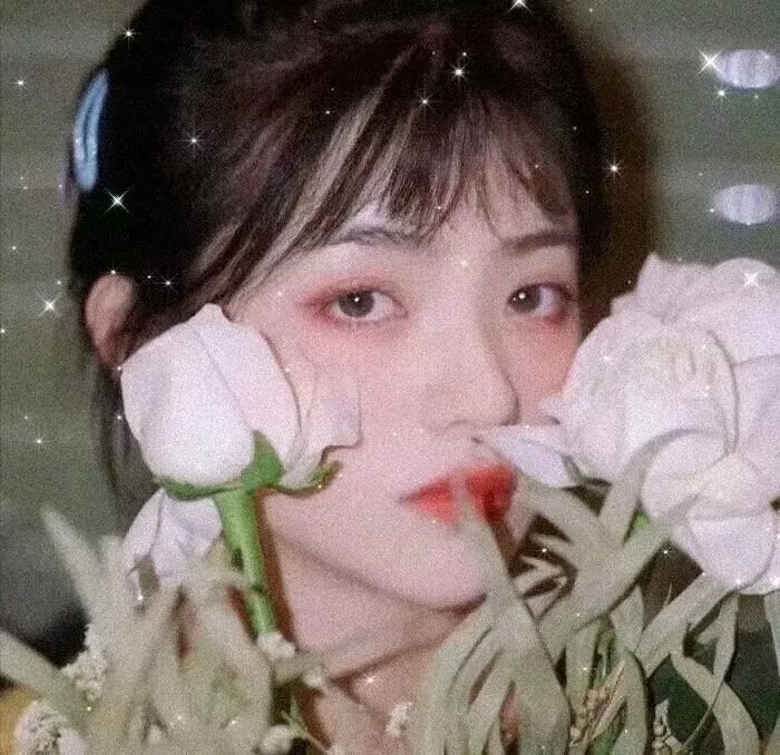 季社长的小蔷薇绽放了
