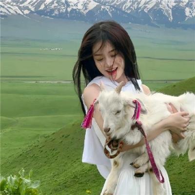 蔡李佛